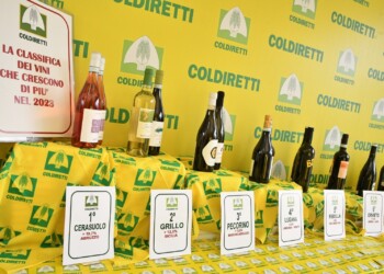 Marche e Abruzzo