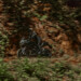 Zero Motorcycles alla prima edizione di EICMA Riding Fest