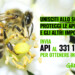 Giornata mondiale delle Api: Greenpeace rilancia le food forest urbane