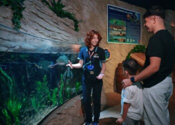 Gardaland SEA LIFE Aquarium