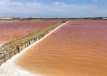 Campagna #FaiBiodiversità: Zone umide. Tutela della biodiversità, valorizzazione e crescita economica