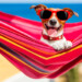 Destinazioni pet friendly: vacanze in Toscana con il nostro fedele amico a 4 zampe!