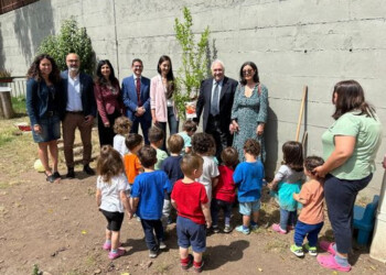 A Roma un albero di melograno contro i tumori pediatrici Viti (Fiagop): Vorremmo piantarne uno in ogni municipio