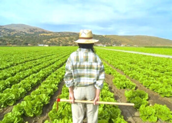 Nasce la Summer School della Scuola della Terra