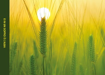 “E in un soffio è l’alba”. Tra le pagine di un romanzo scorre l’esistenza