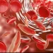 beta-talassemia