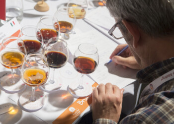 Gli italiani conquistano il Belgio. Presentata a Roma il 17 luglio scorso, la miglior birra del Brussels Beer Challenge è abruzzese