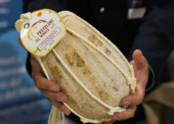 ormai il Provolone del Monaco Dop è l’attore principale anche delle tavole imbandite estive.