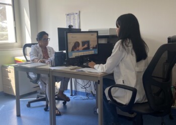 Ragno violino, al Centro Antiveleni del Cardarelli anche 20 chiamate al giorno