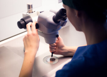 Giornata nazionale della salute riproduttiva Prof Bilotta “Combattere l’inverno demografico è una delle grandi sfide del nostro tempo”