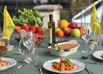 Appello per un piano pubblico contro il cibo ultra-trasformato, serve un’etichetta per riconoscerli