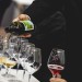 Slow Wine Fair 2025: espositori e vini da non perdere a BolognaFiere dal 23 al 25 febbraio