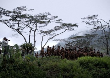 Cineclub Scienza. Crisi climatica, biodiversità, conflitti ambientali: al Teatro Palladium le sfide globali del nostro tempo
