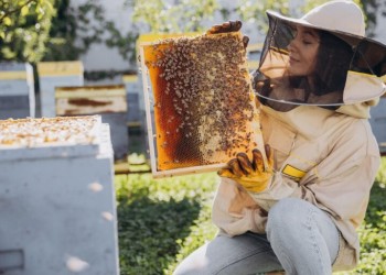 Proteggere le api e l’apicoltura con il rewilding