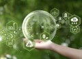 Giornata mondiale dell’ambiente: il rapporto 2025 della Fondazione per la sostenibilità digitale