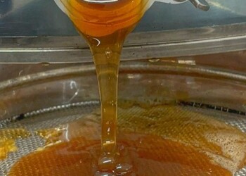 I mieli dei prati dei Monti del Matese diventano Presidio Slow Food!