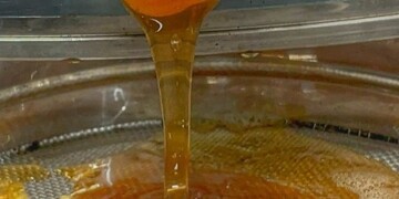 I mieli dei prati dei Monti del Matese diventano Presidio Slow Food!