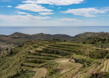 La Calabria del vino si racconta a Roma: le etichette della regione protagoniste della narrazione del territorio
