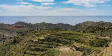 La Calabria del vino si racconta a Roma: le etichette della regione protagoniste della narrazione del territorio