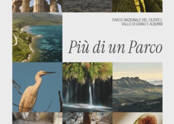 Un territorio, molte identità: il Parco del Cilento avvia “Più di un Parco”