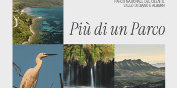 Un territorio, molte identità: il Parco del Cilento avvia “Più di un Parco”
