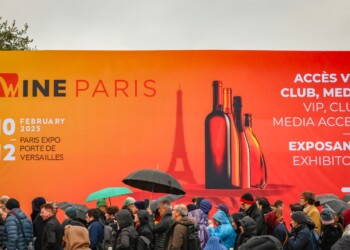 Sicilia del vino. Radici di futuro al Wine Paris, l’isola protagonista con 41 cantine