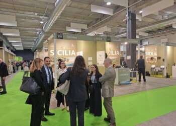 La Sicilia dell’olio a Trieste con l’Irvo per la valorizzazione delle cultivar dell’Isola