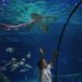 Giornata Mondiale Oceani 2026: le iniziative di SEA LIFE Trust e Gardaland SEA LIFE Aquarium per la biodiversità