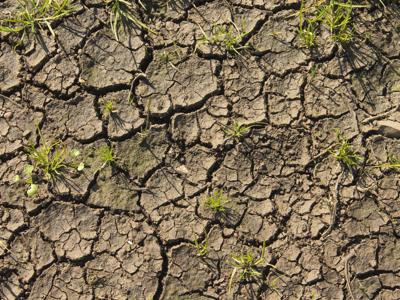 Così il clima spinge le migrazioni verso l'Italia Così il clima spinge le migrazioni verso l'Italia
