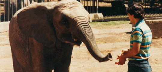zoo biodiversita animali
