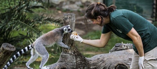 zoo biodiversita animali