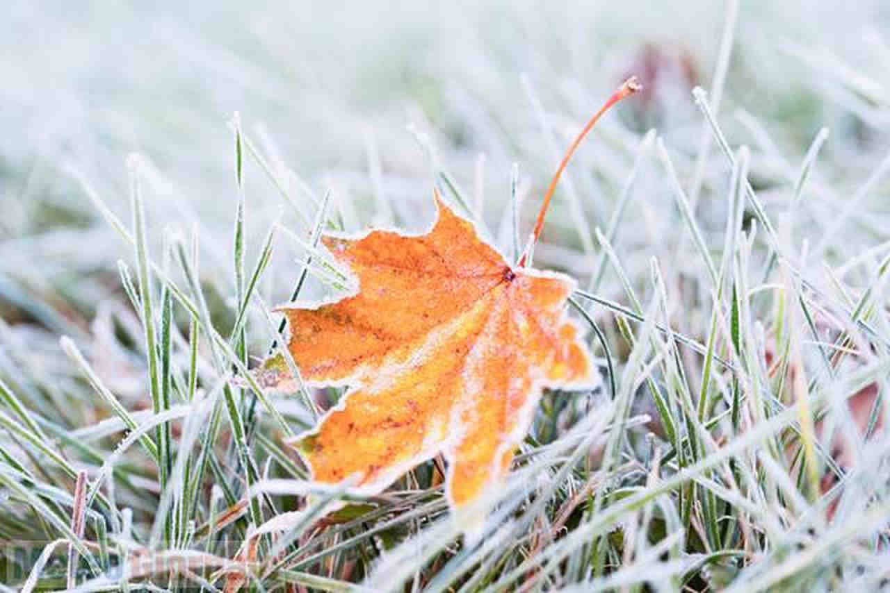 Gelo a fine novembre, avveniva più di frequente