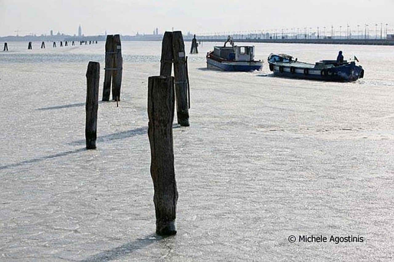 Una parte della Laguna di Venezia ghiacciata. Foto di Michele Agostinis