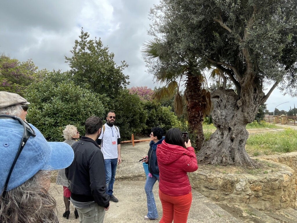 Si stanno recuperando gli ipogei all'interno del Giardino Botanico. Sono siti costruiti a partire dal 480 a.C. che in alcuni casi saranno itinerari escursionistici per Agrigento 2025