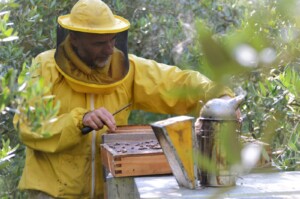 apicoltura più naturale
